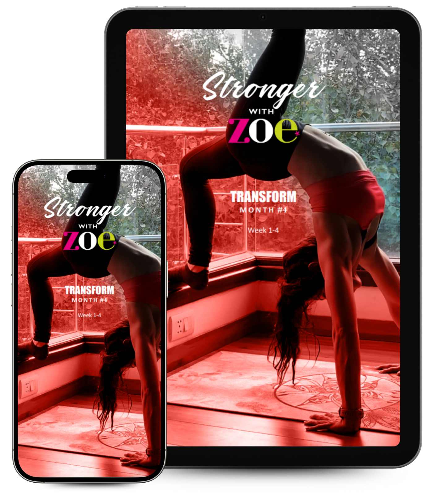 SWZ - Transform - Month 4