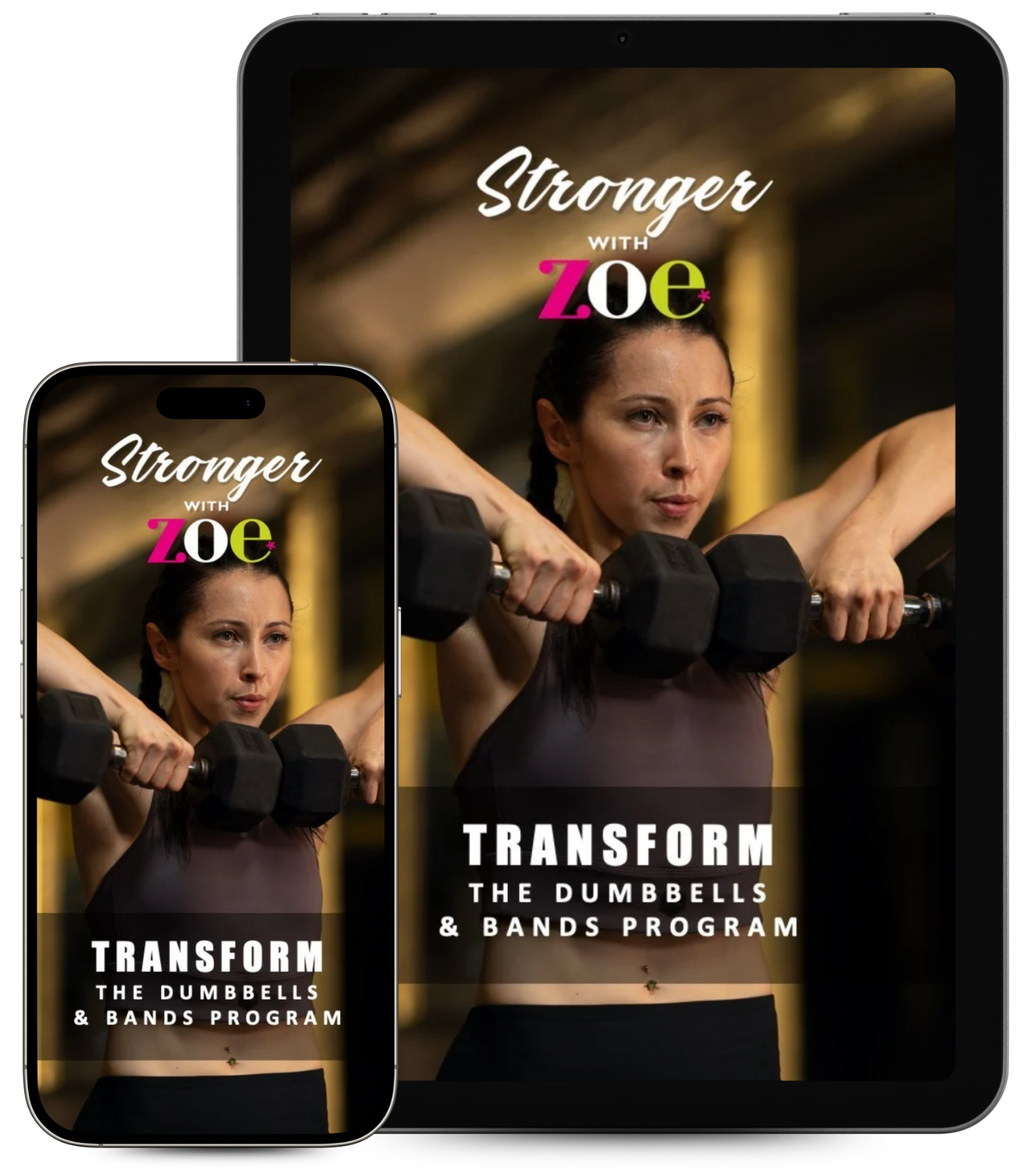 SWZ: Transform - The Dumbbells & Bands Program (4 Months Bundle)